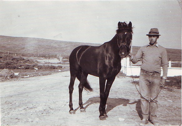 Mi padre con los caballos en Casarejo. 24-04-71